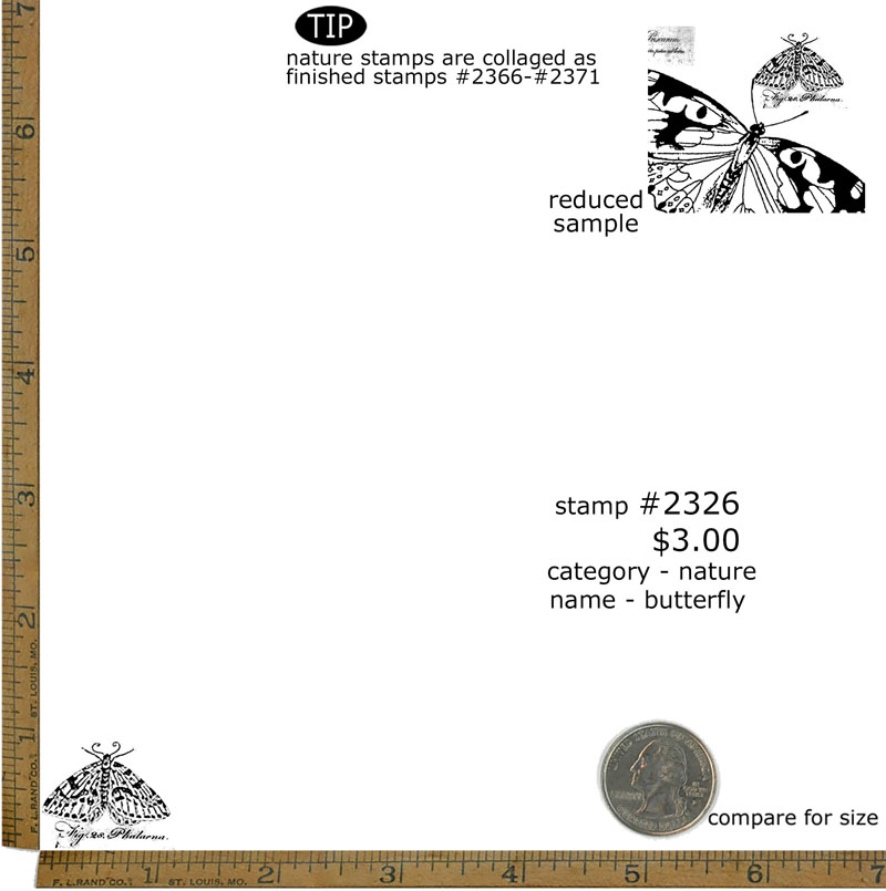 #2326 - Butterfly - Nature